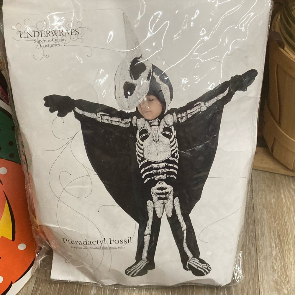 Kids skeleton pterodactyl Costume